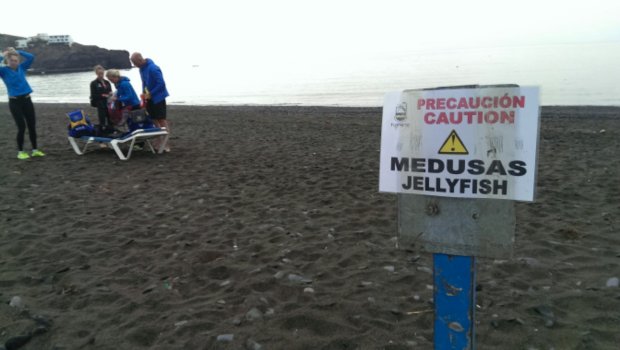 wp-1397902529970 image